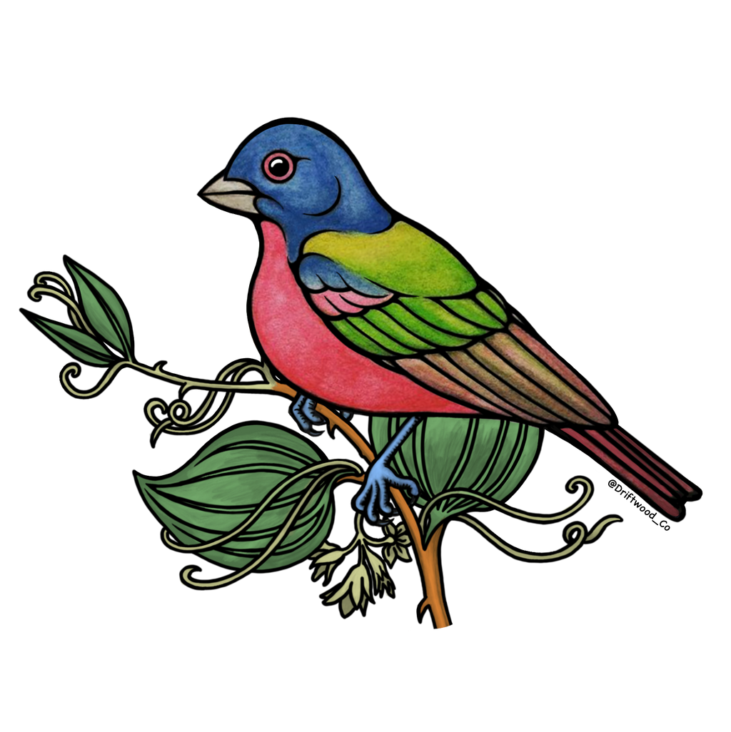 Painted Bunting Sticker