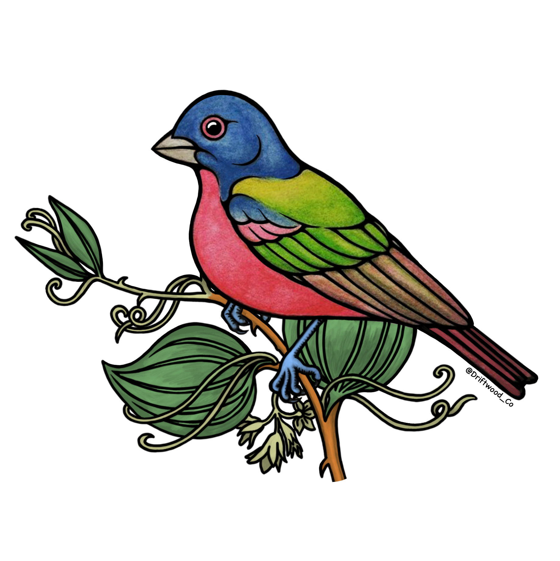 Painted Bunting Sticker