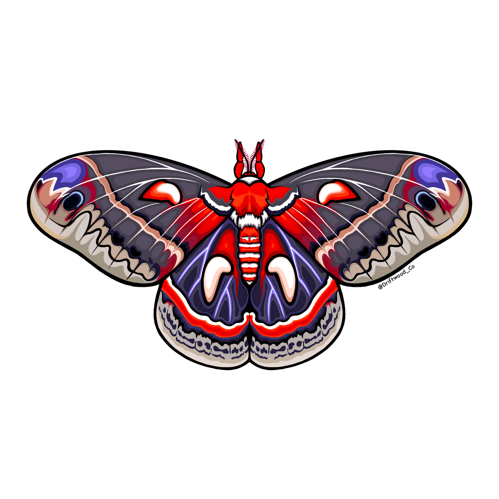 Cecropia Moth Sticker