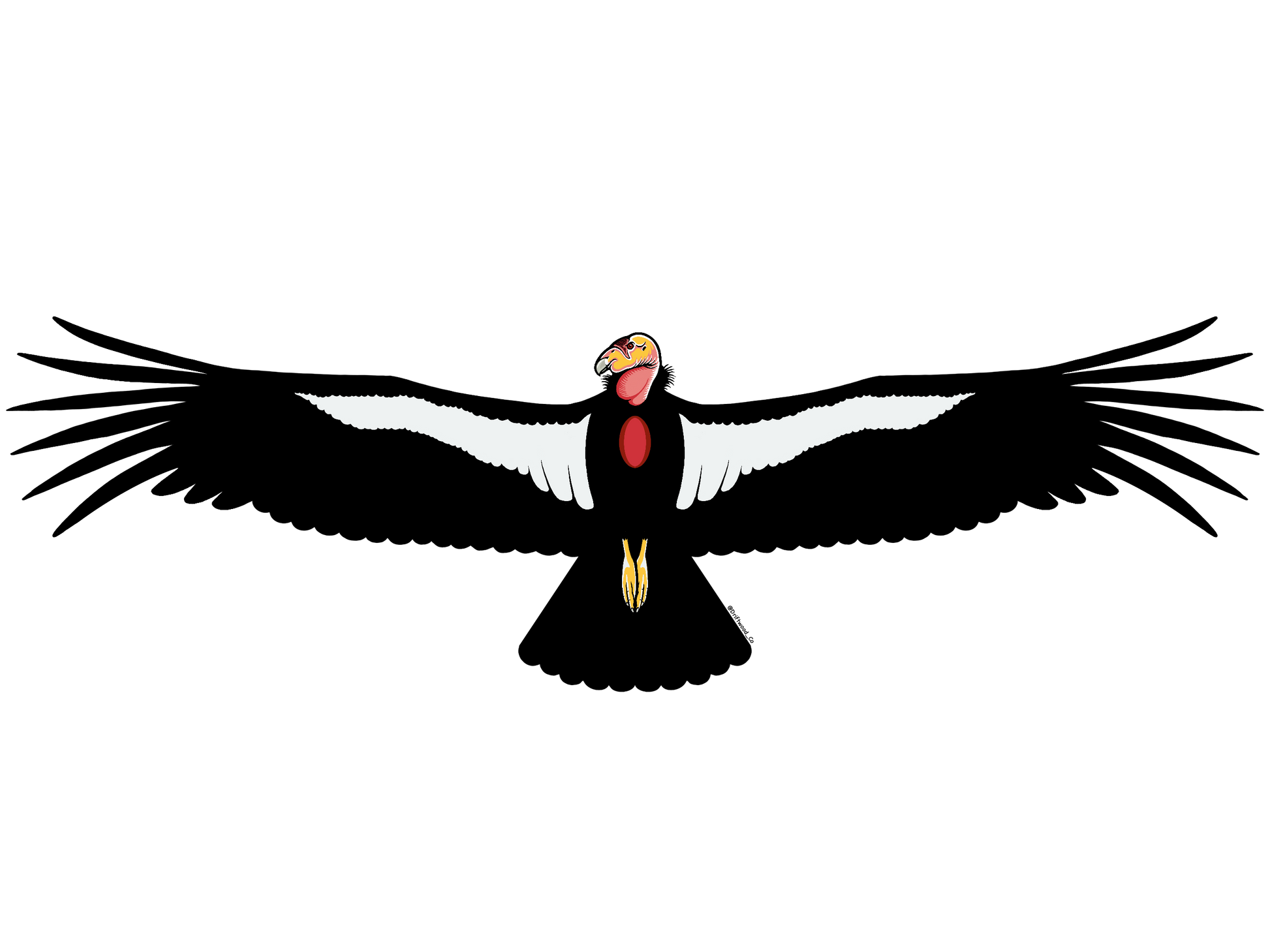 Condor Sticker