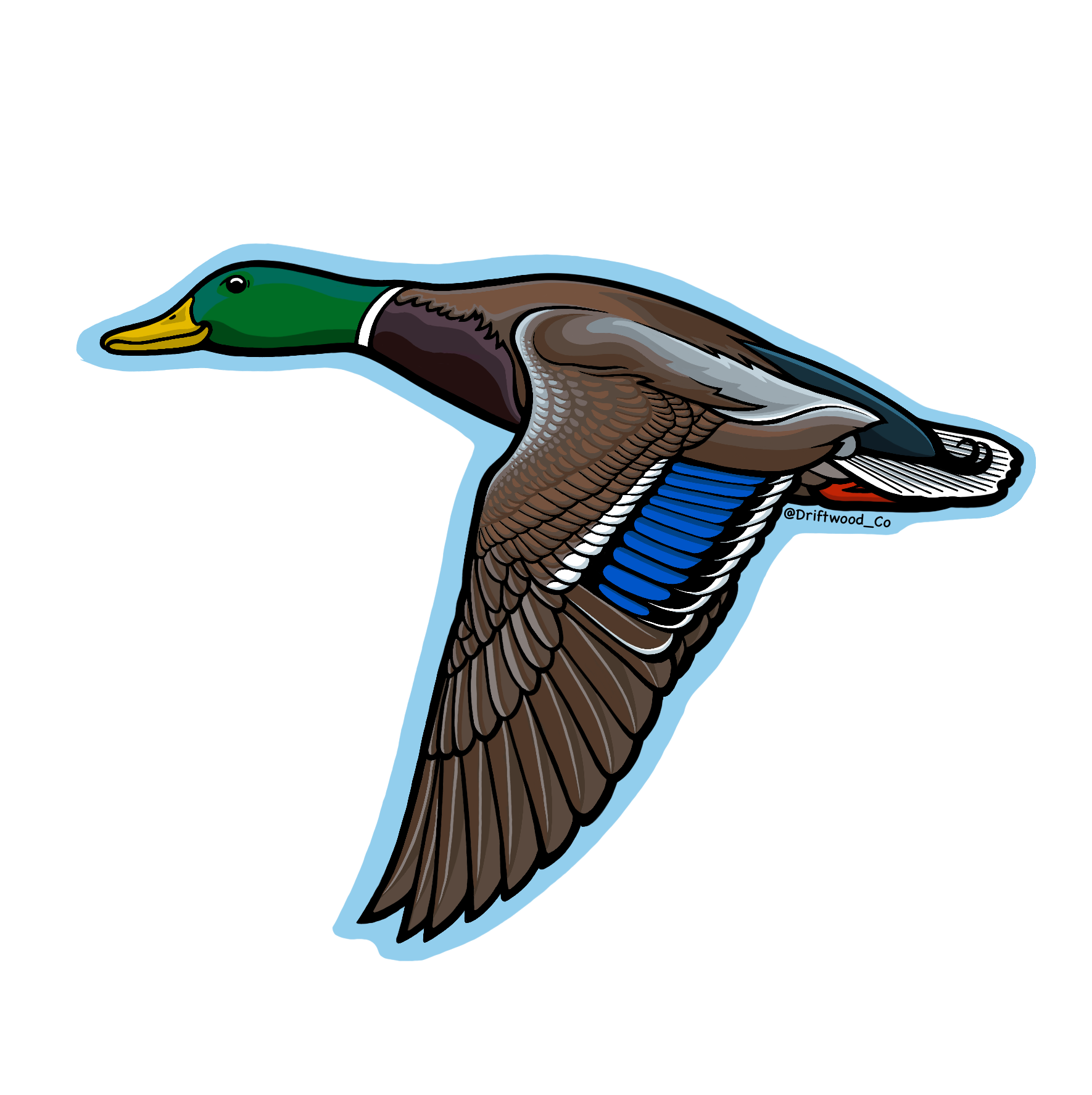 Mallard Duck Sticker