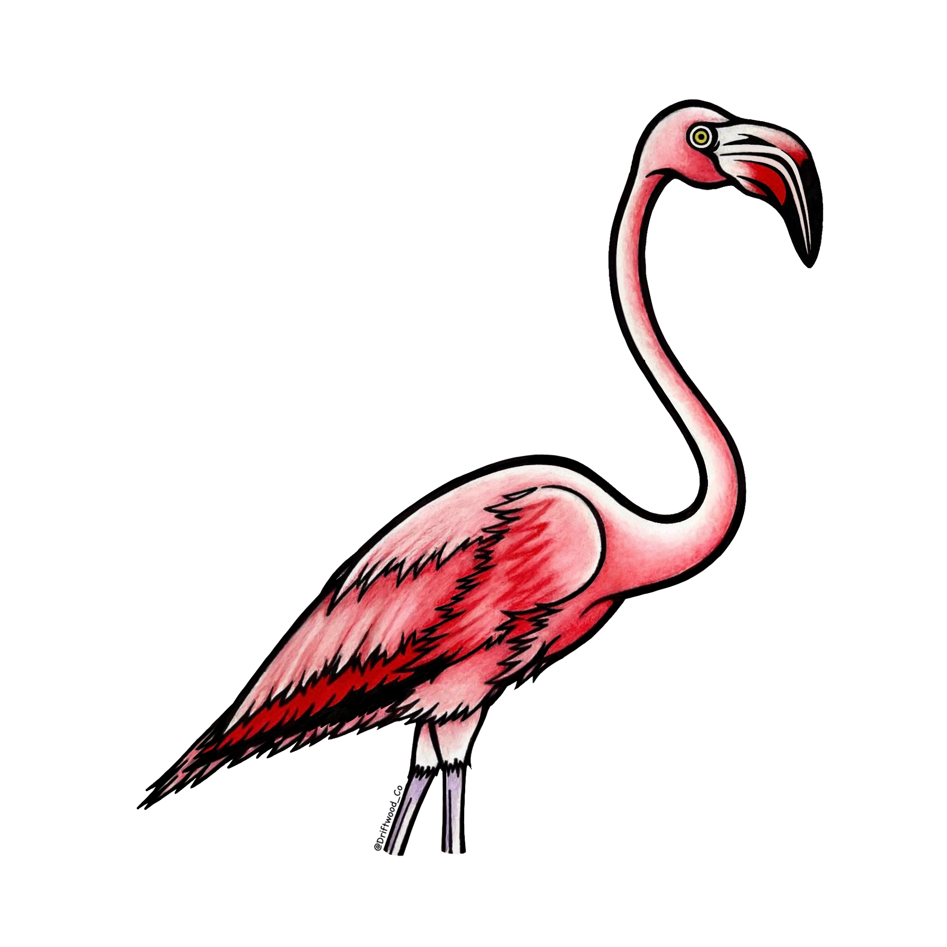 Flamingo Sticker
