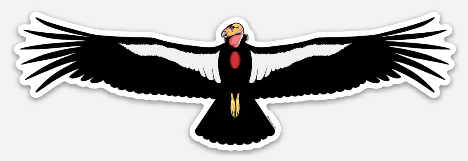 Condor Sticker