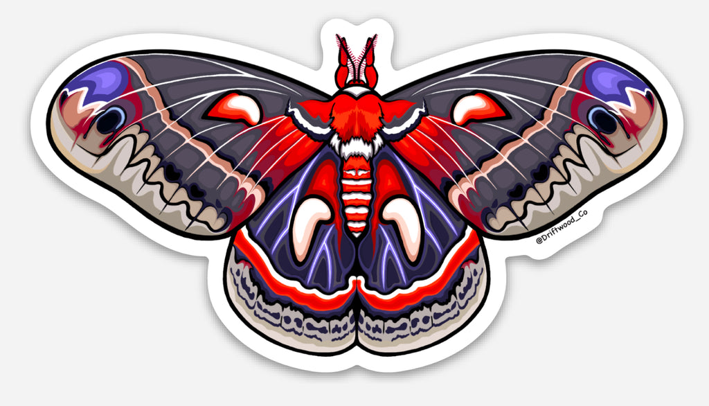 Cecropia Moth Sticker
