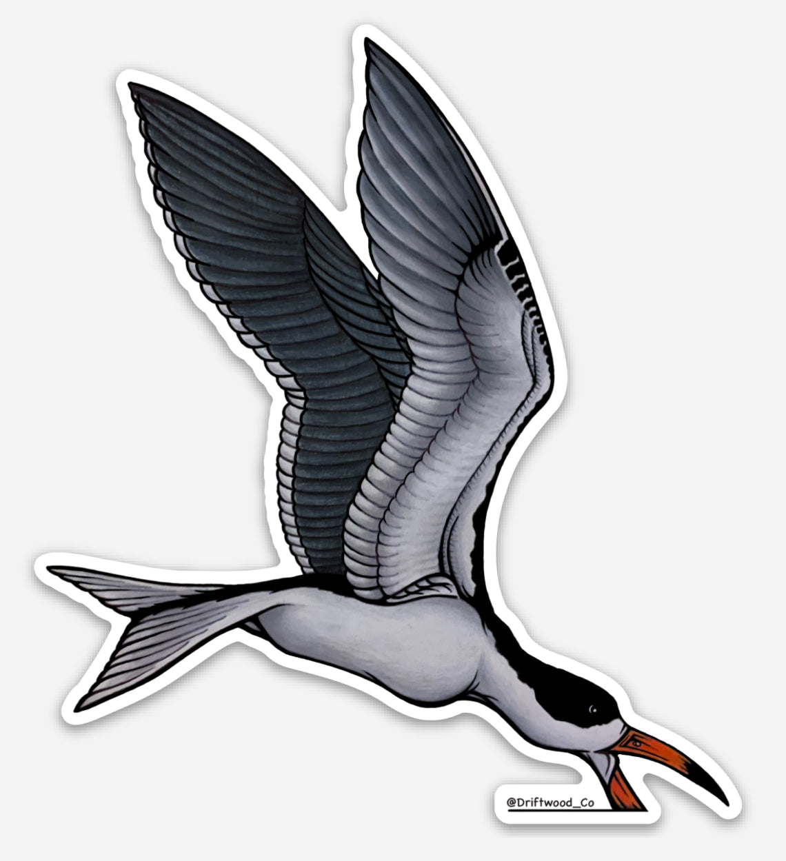 Skimmer Sticker