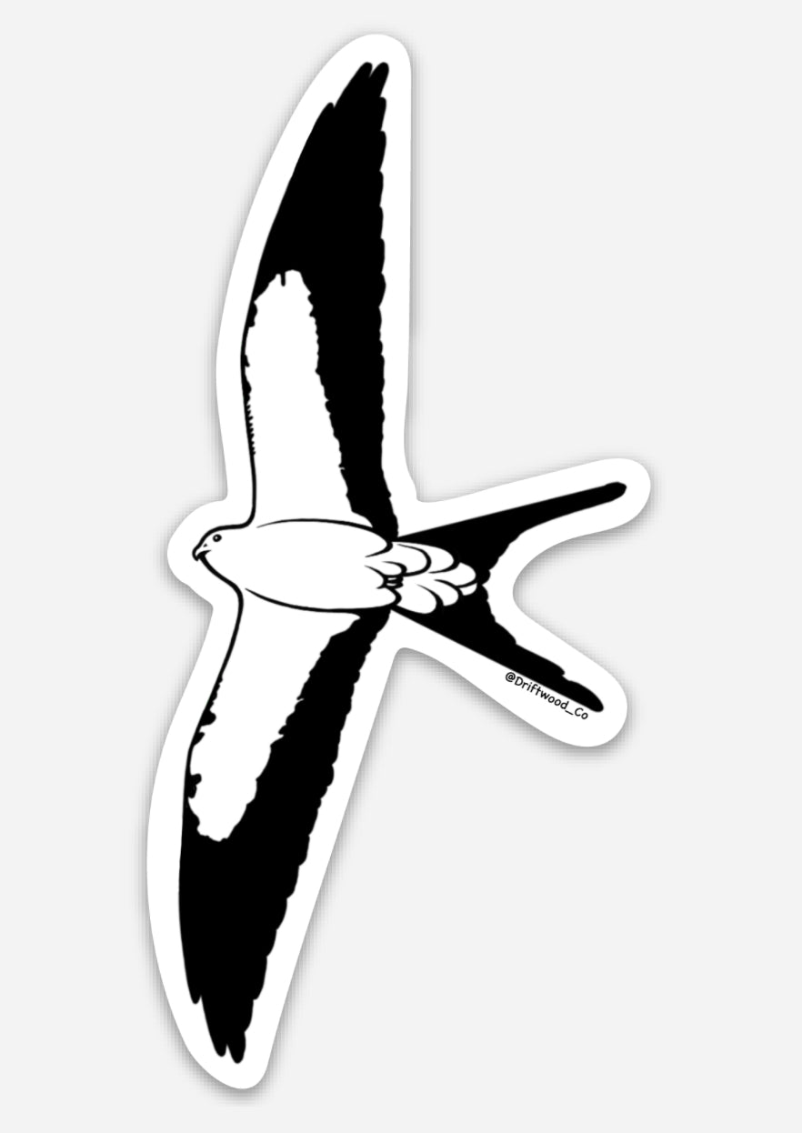 Swallow-tailed Kite Sticker