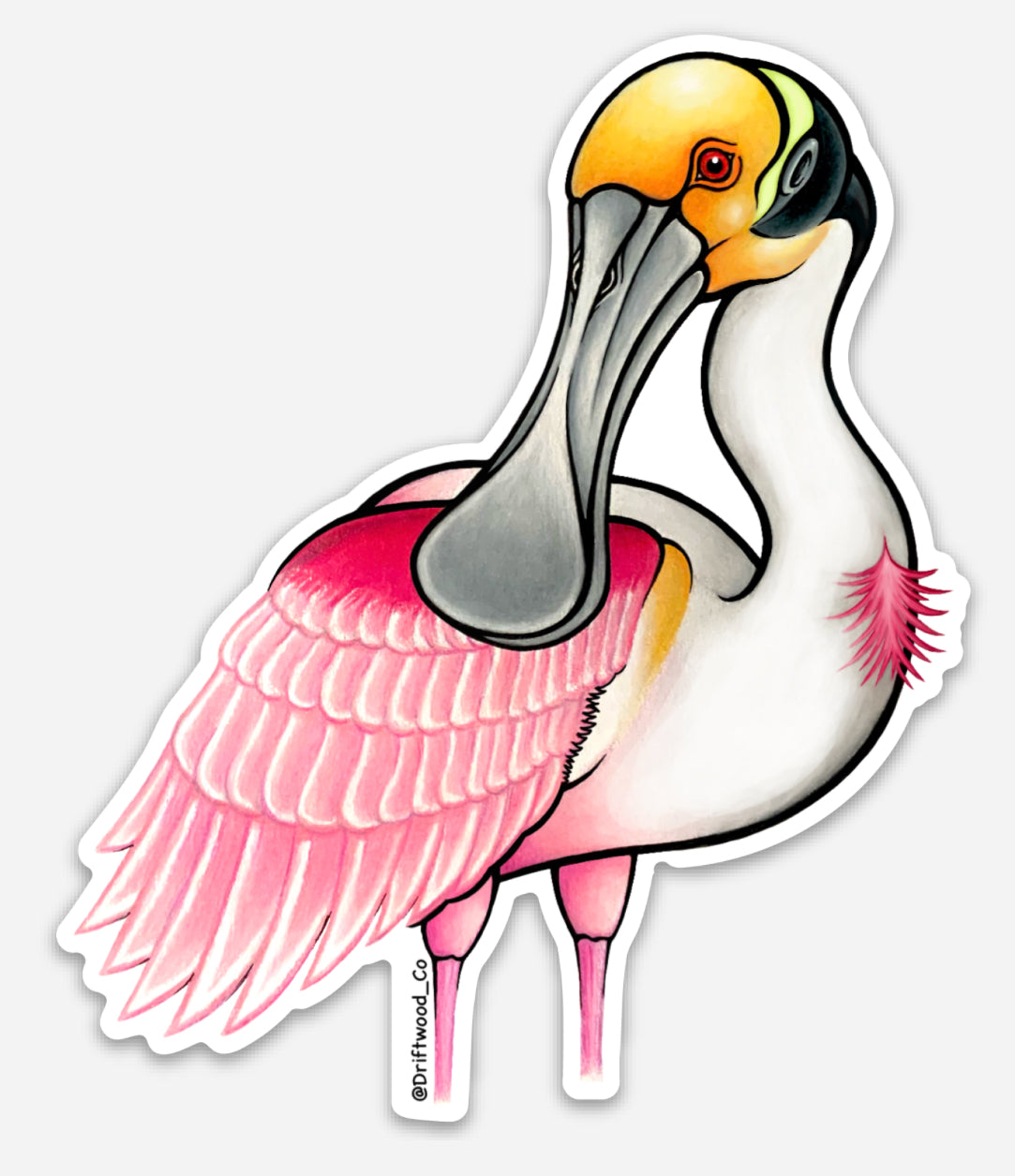 Spoonbill Sticker