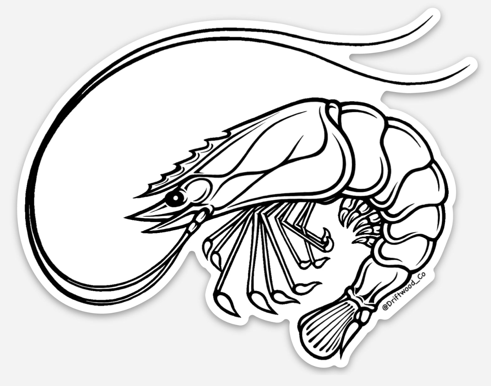 Shrimp Sticker