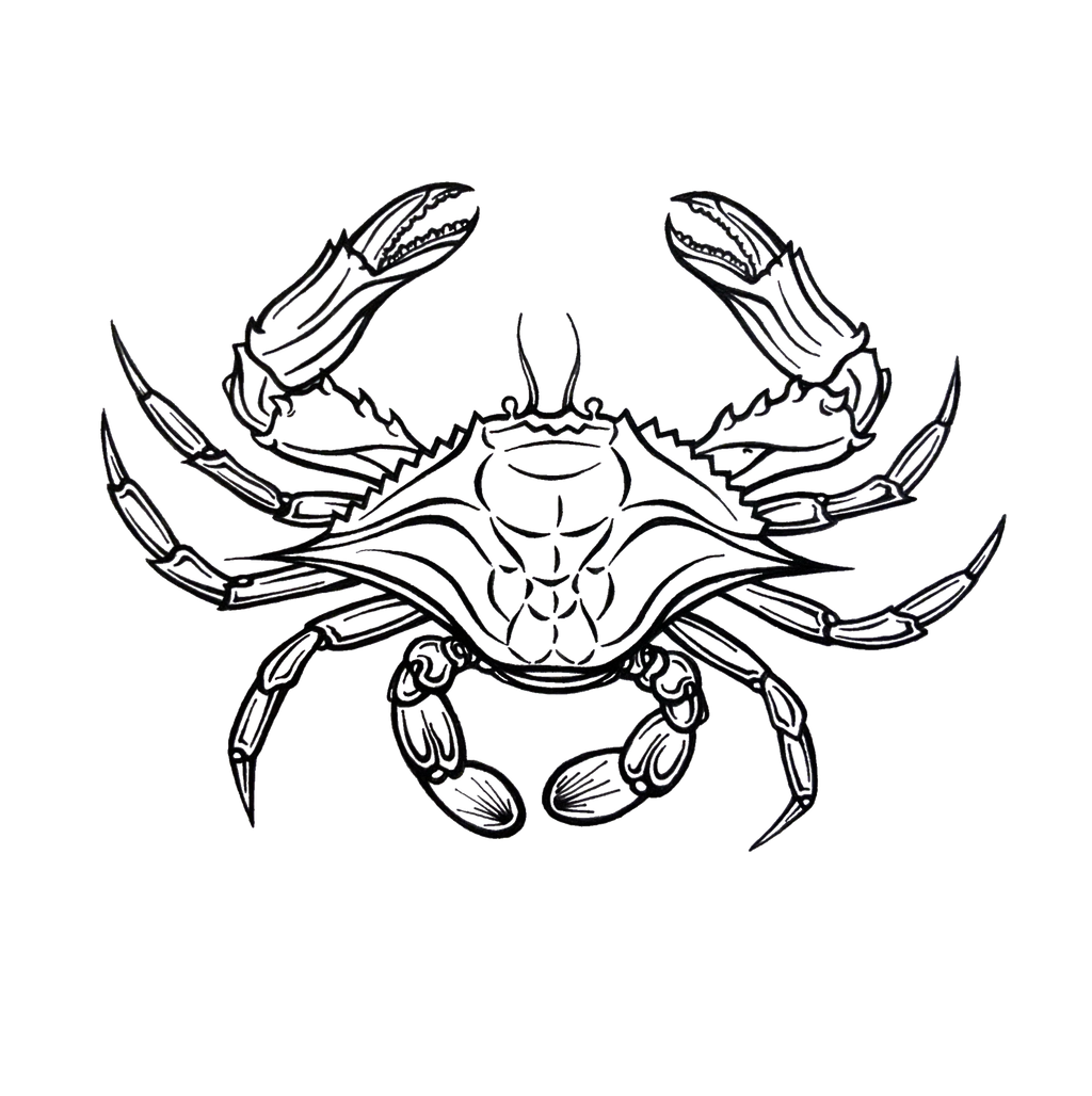 Blue Crab Sticker