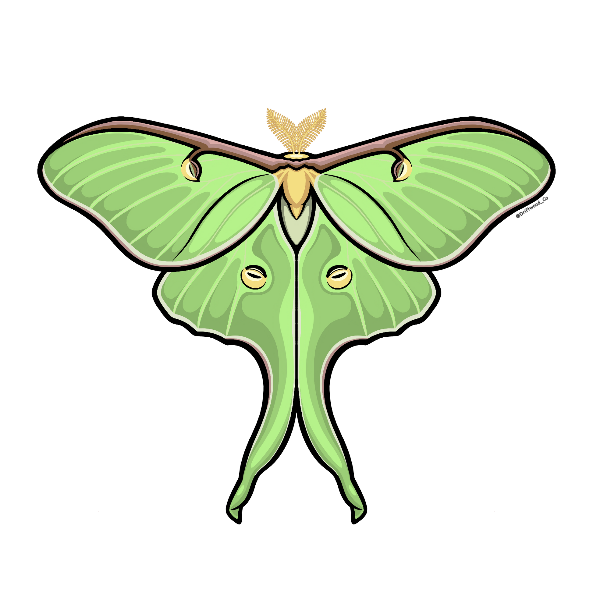 Luna Moth Sticker