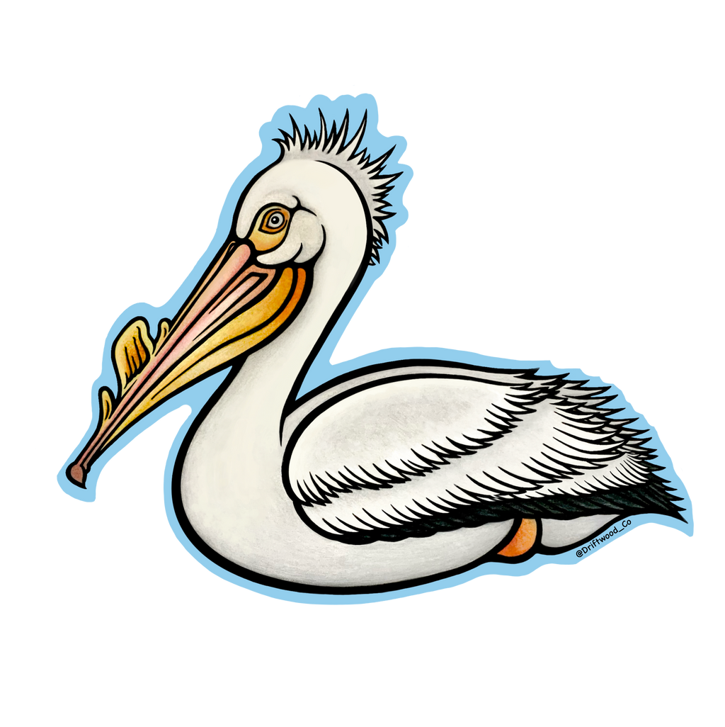 White Pelican Sticker
