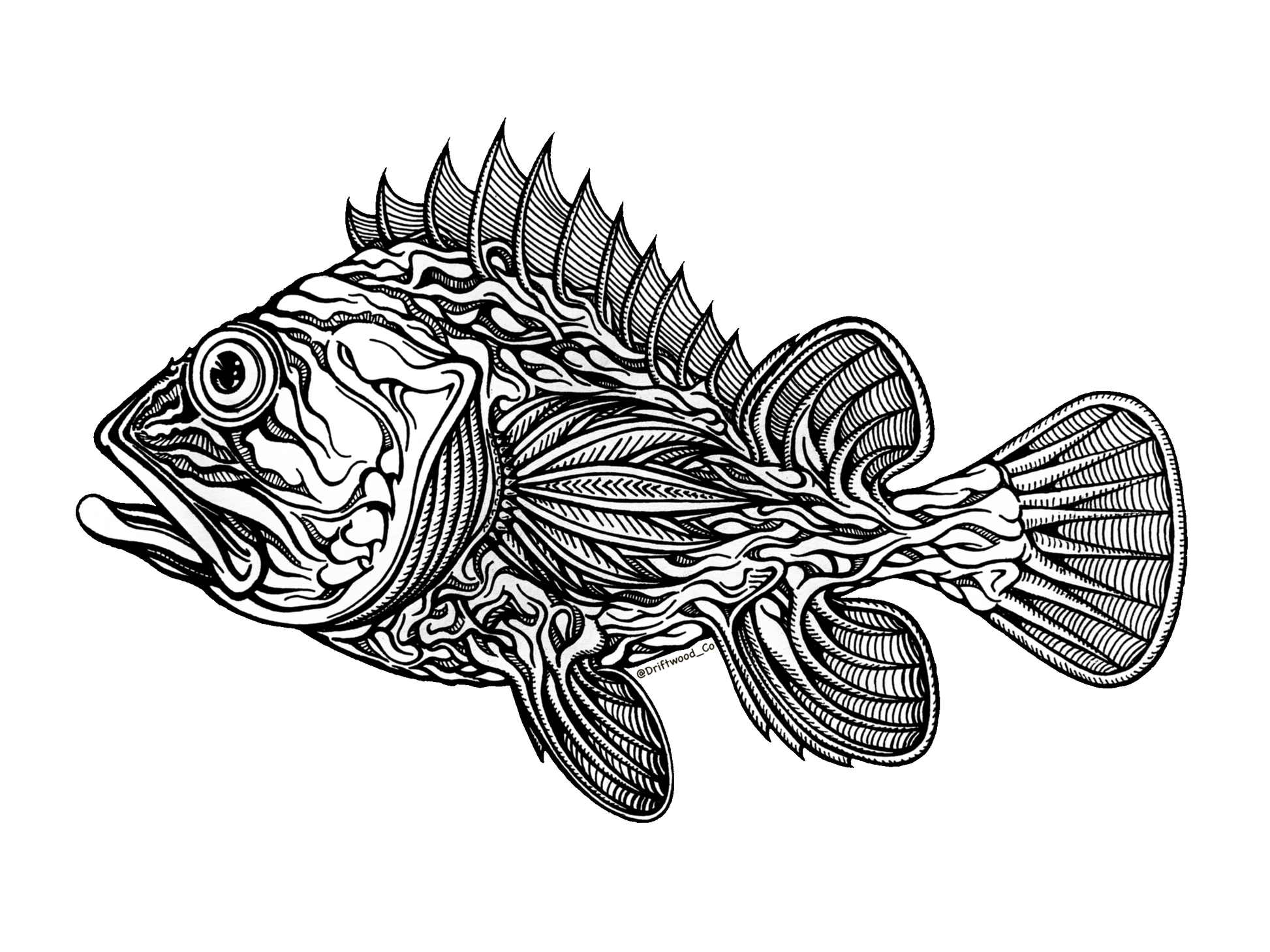 Rockfish Black & White Sticker