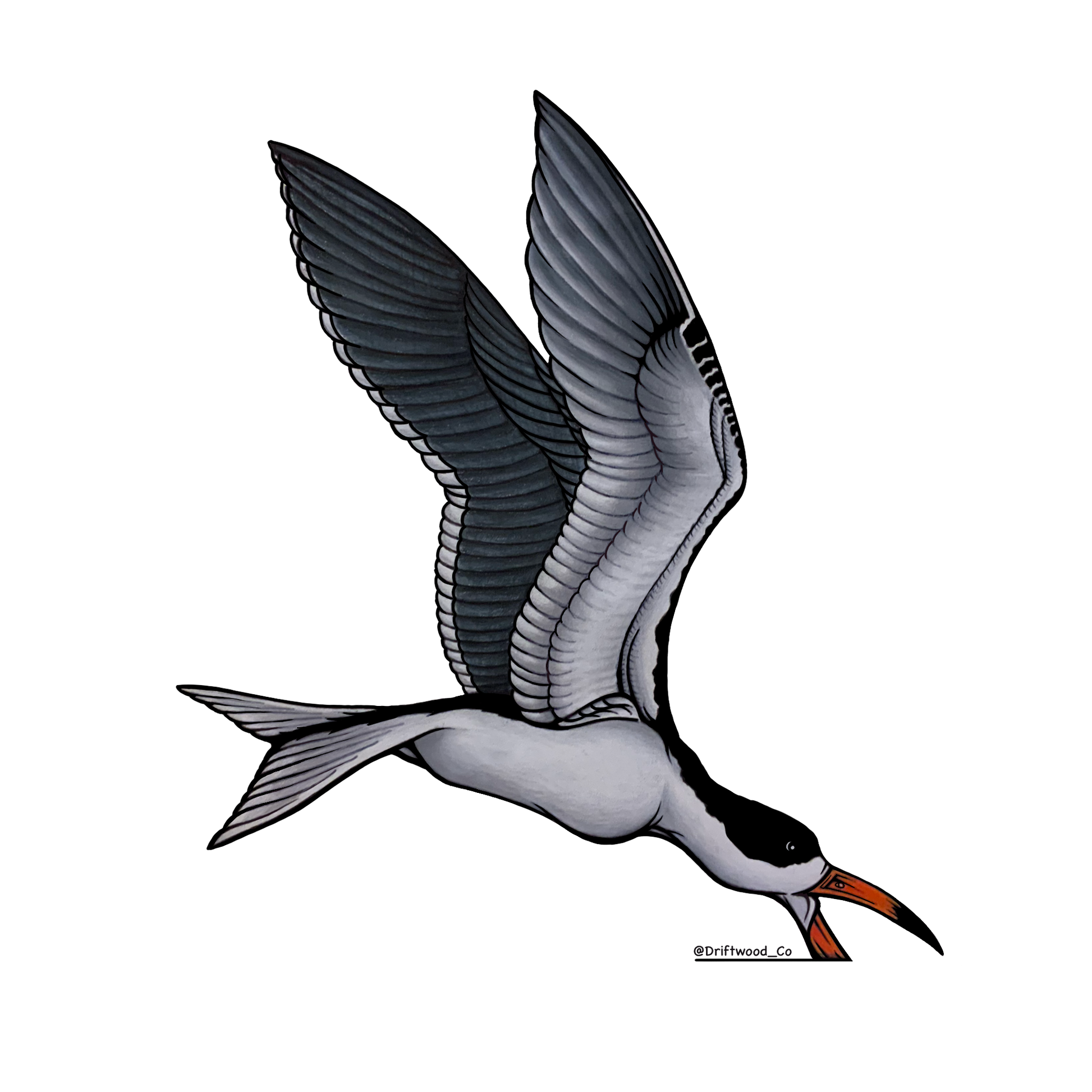 Skimmer Sticker