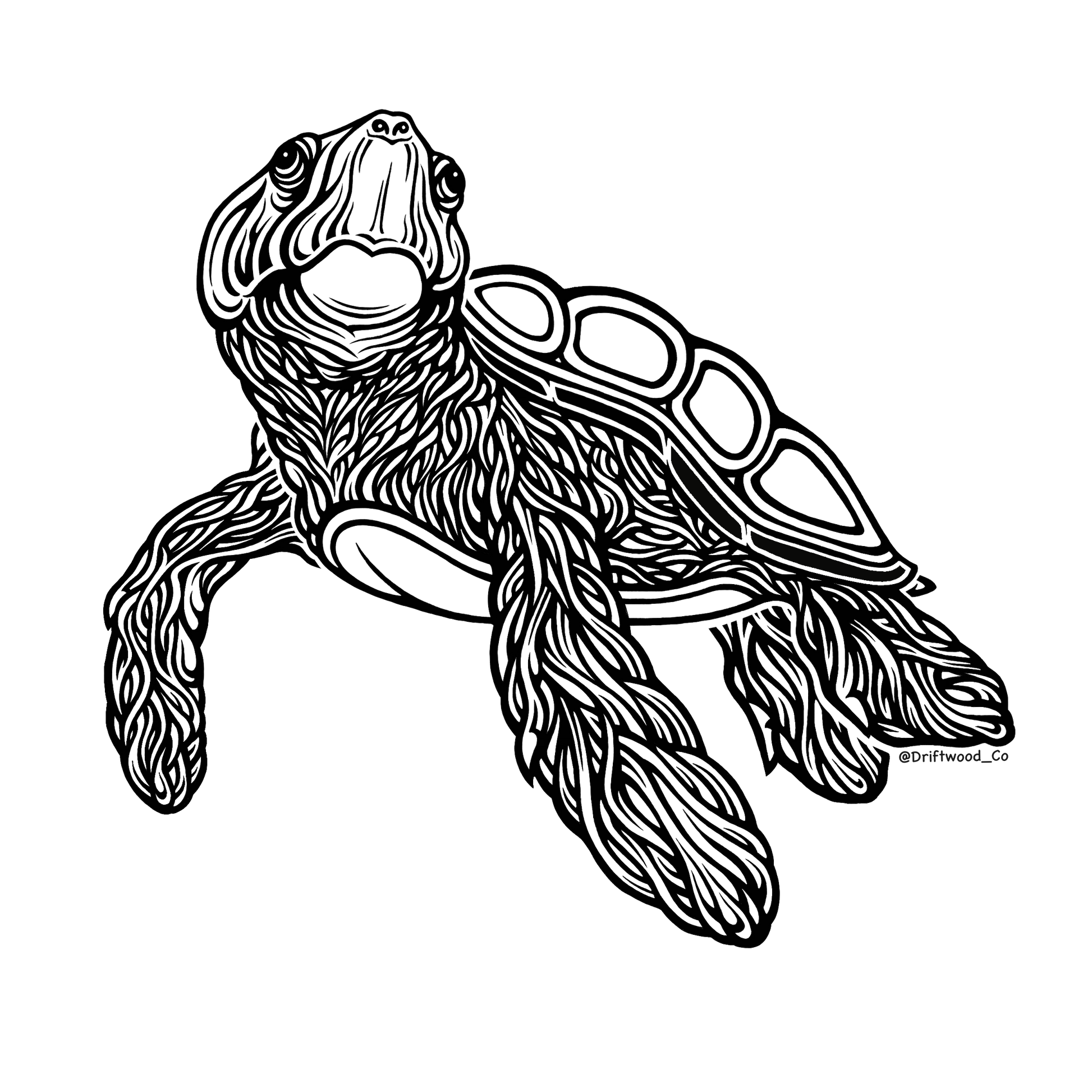 Sea Turtle Sticker