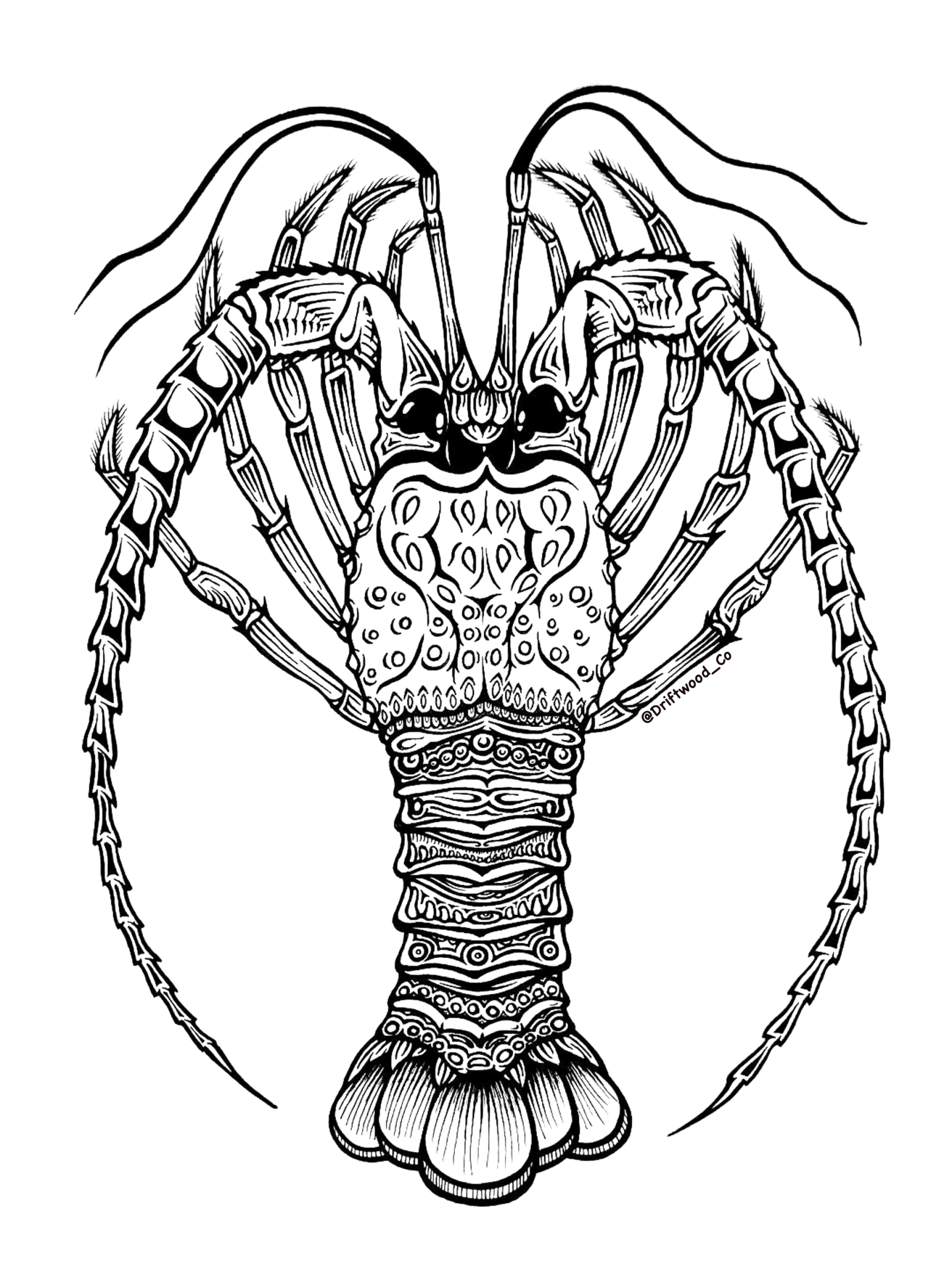 Spiny Lobster Sticker