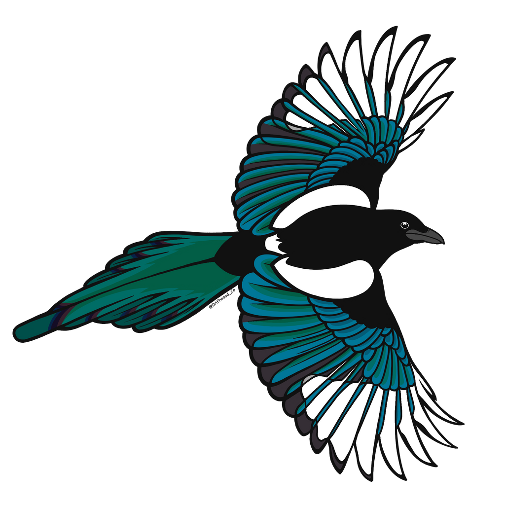 Magpie Sticker