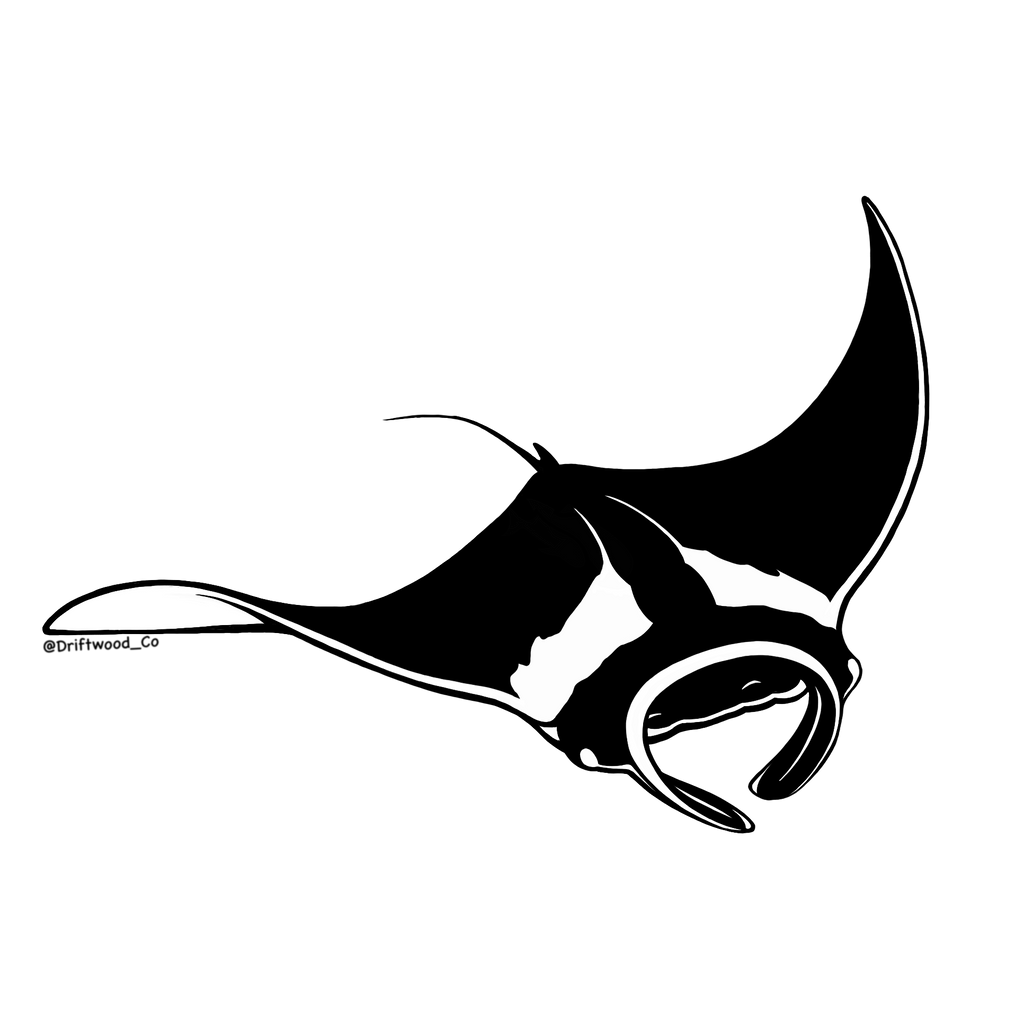 Manta Ray Sticker