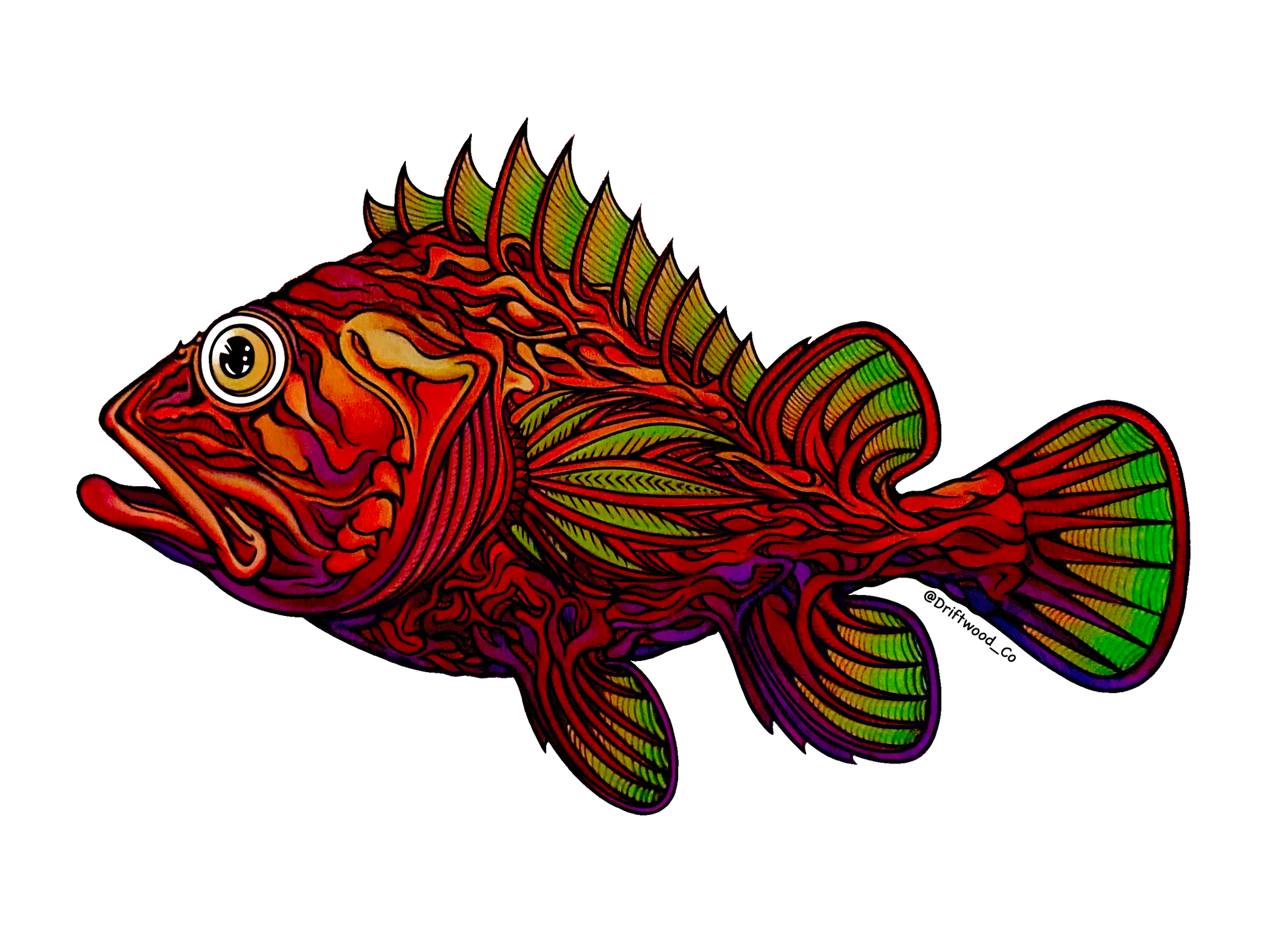 Rockfish Color Sticker