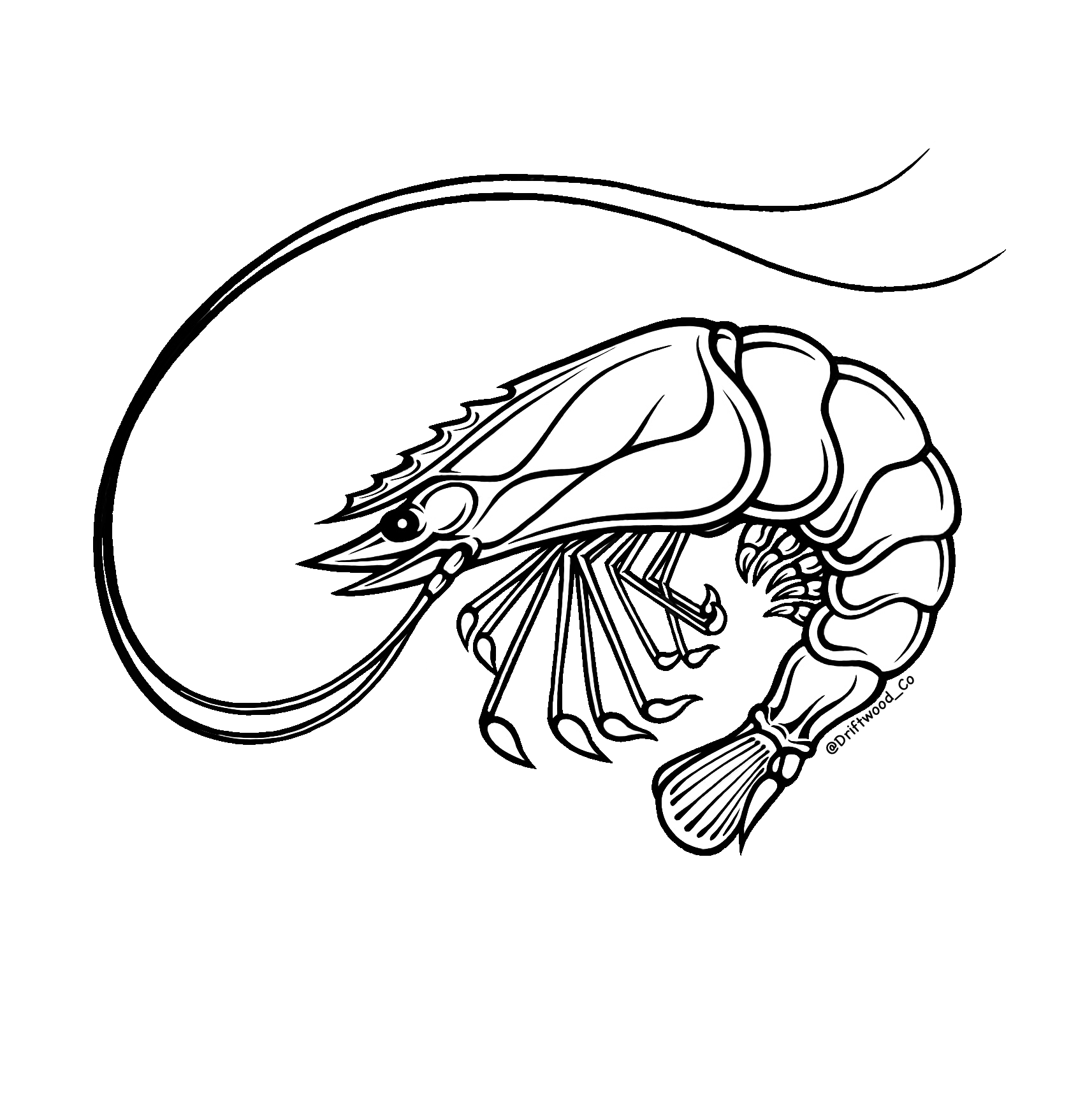 Shrimp Sticker