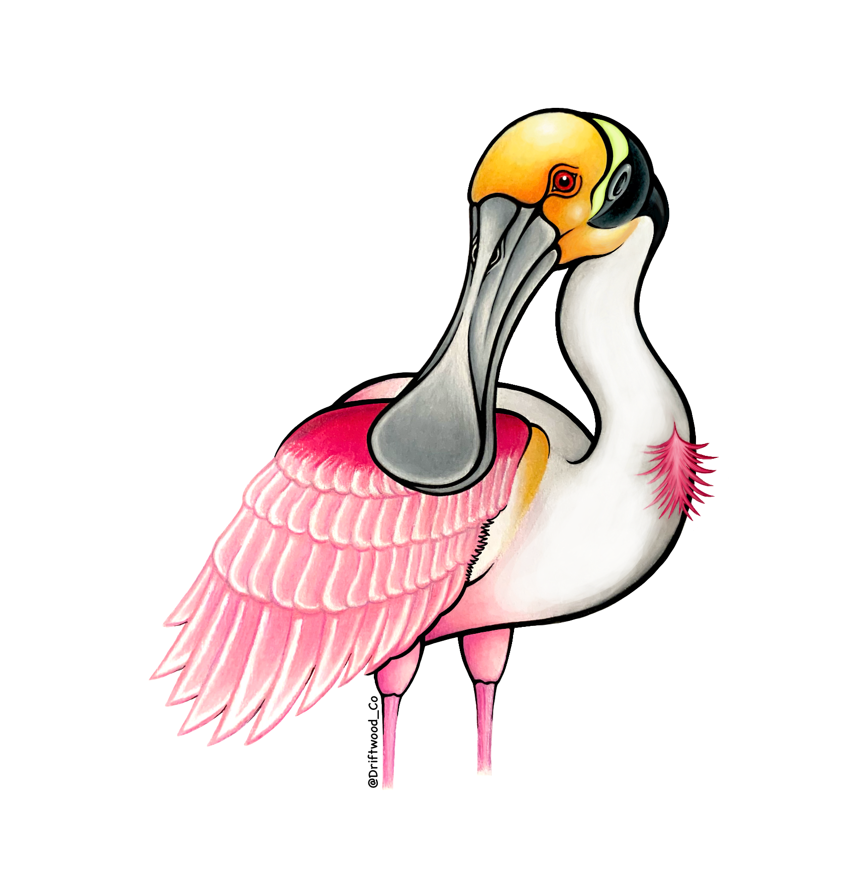 Spoonbill Sticker