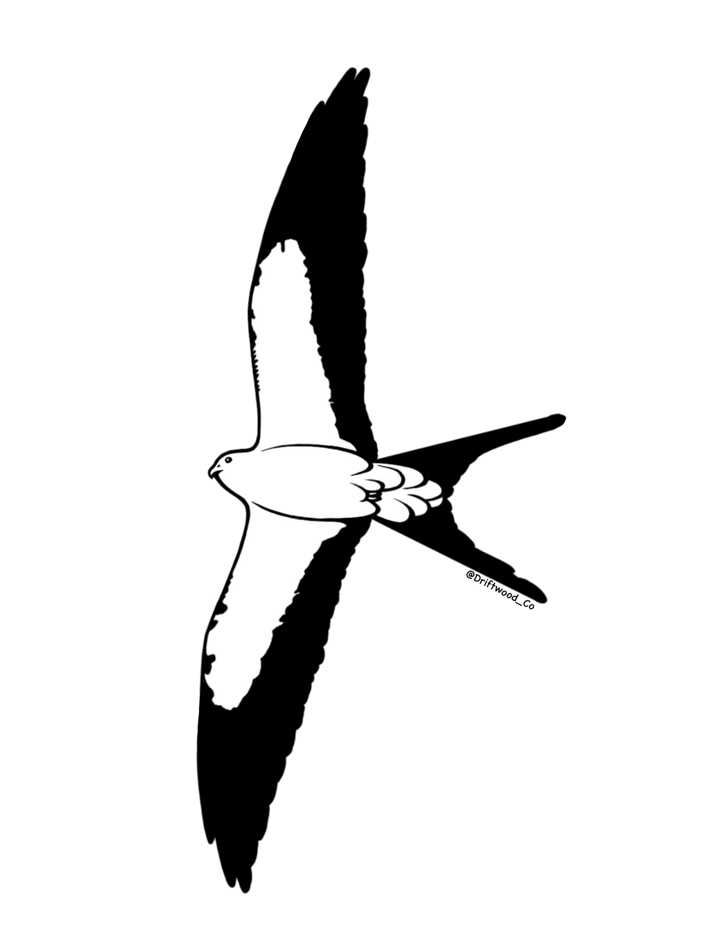 Swallow-tailed Kite Sticker