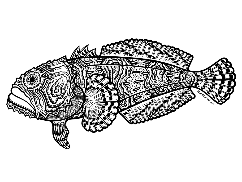 Toadfish Sticker
