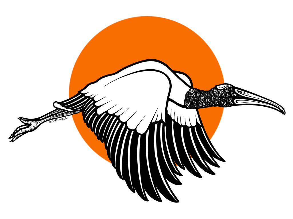 Wood Stork Sticker